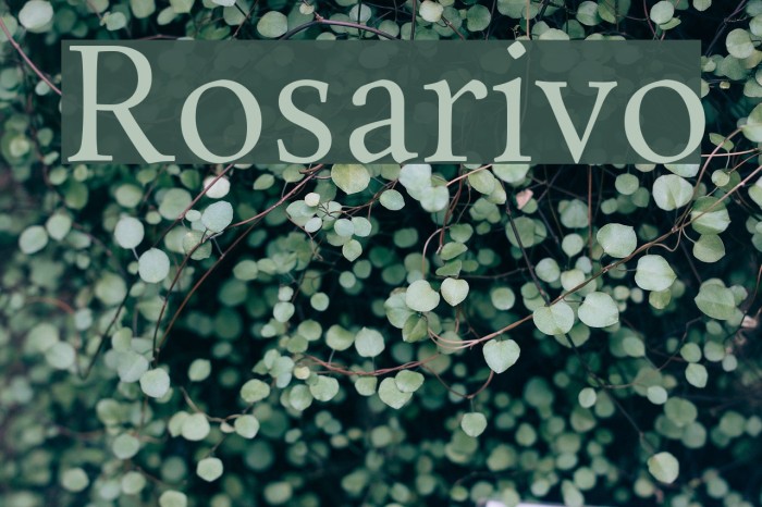 Rosarivo Fonte examples
