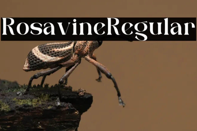 Rosavine Regular Example 1