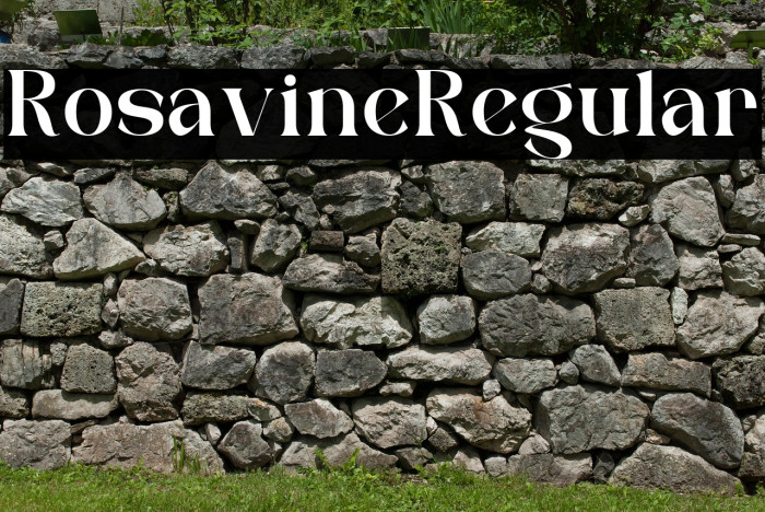 Rosavine Regular Example 2