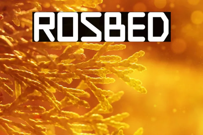 Rosbed Example 2