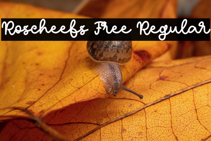 Roscheefs Free Regular Example 3