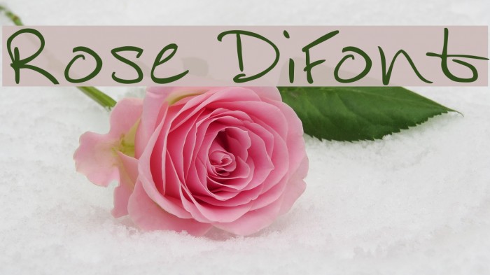 Rose DiFont Font examples
