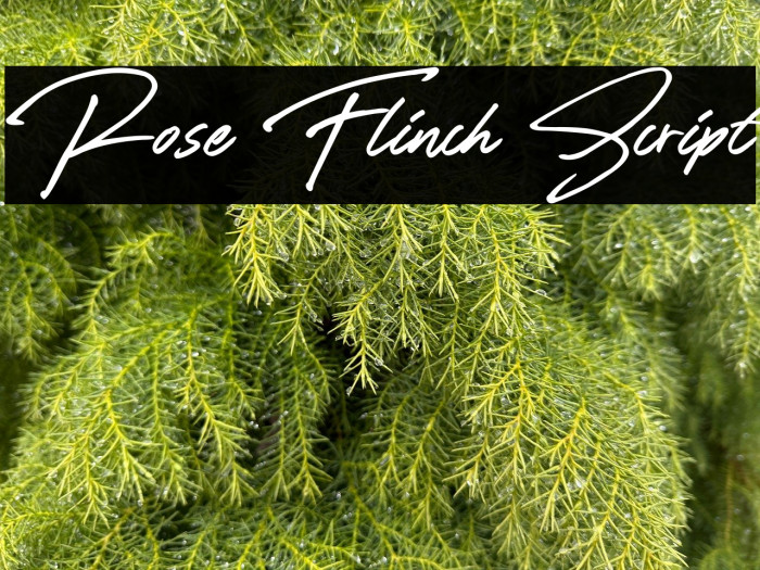 Rose Flinch Script Example 1