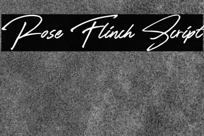Rose Flinch Script Font examples