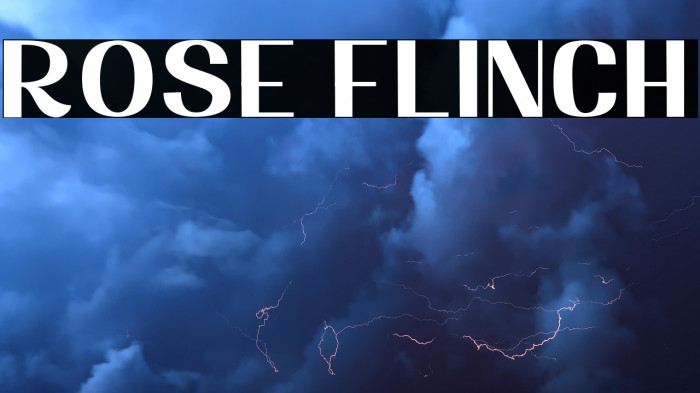 Rose Flinch Example 3