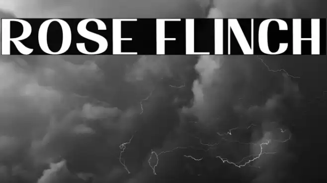 Rose Flinch Font examples