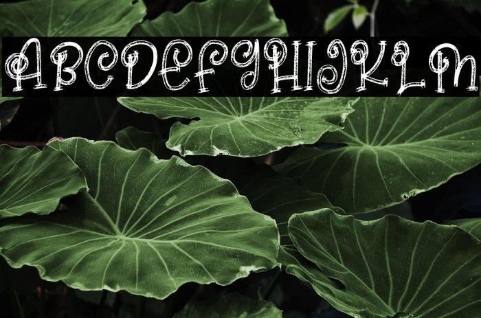 Rose Hips FREE Example 1