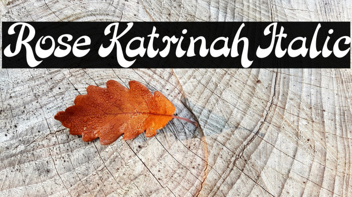 Rose Katrinah Italic Example 1