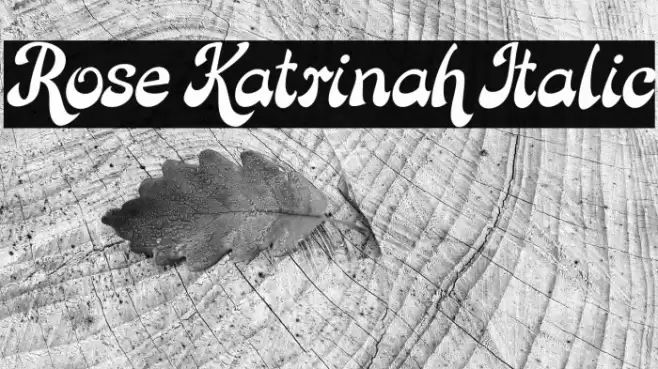Rose Katrinah Italic Font examples