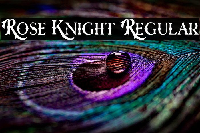 Rose Knight Regular Example 3