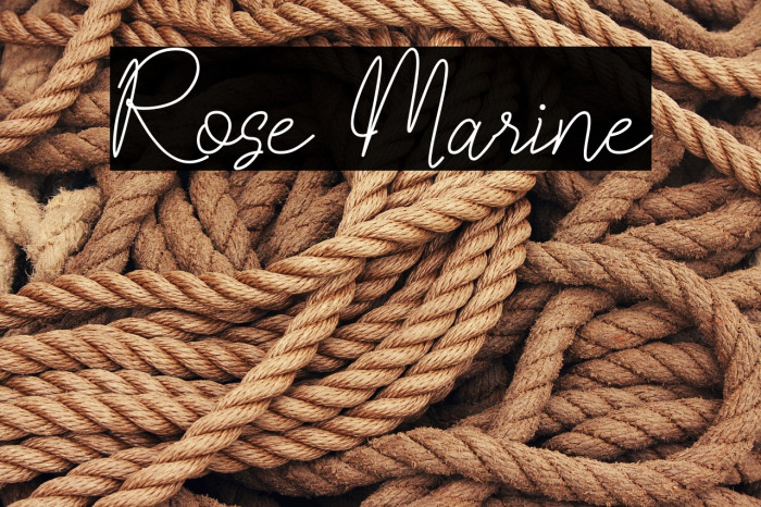 Rose Marine Example 1
