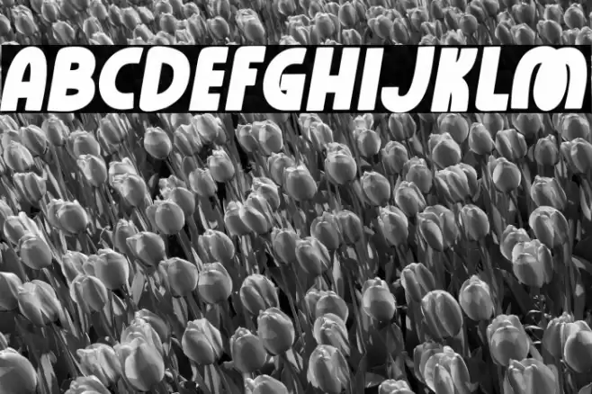 Rose Minie Bold Italic Font examples