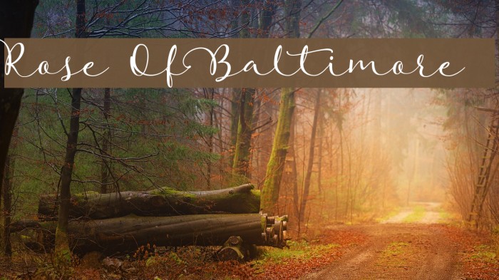 Rose Of Baltimore Font examples
