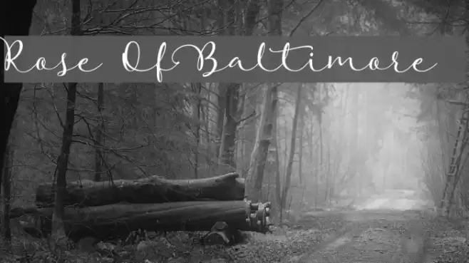 Rose Of Baltimore Font examples