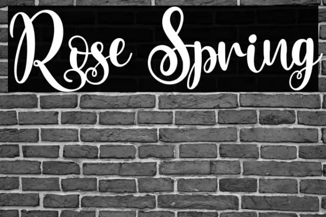 Rose Spring Font examples