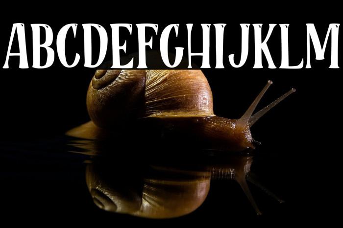 RoseCakePersonalUse Example 1