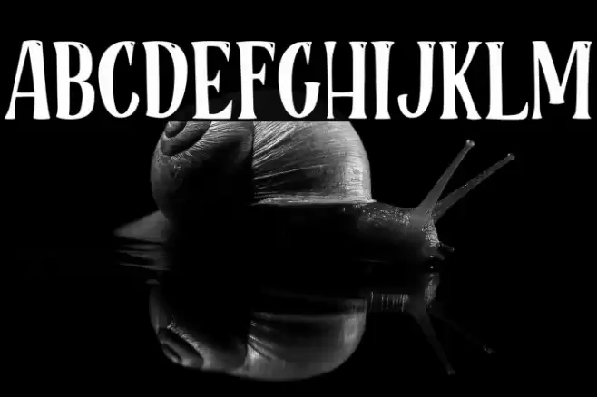 RoseCakePersonalUse Font examples