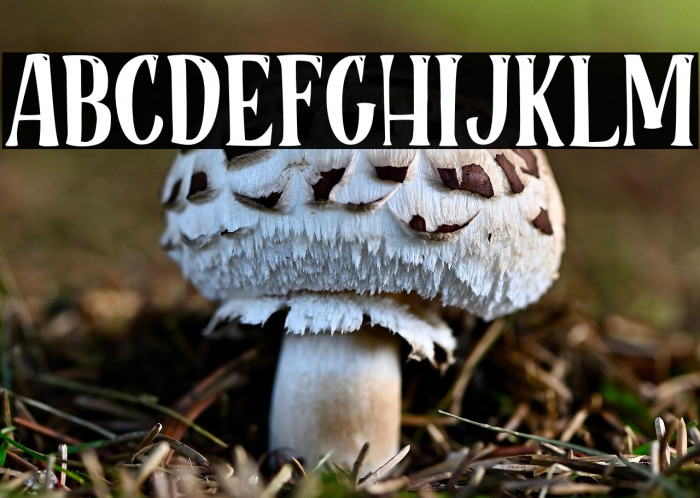 RoseCakePersonalUse Example 2