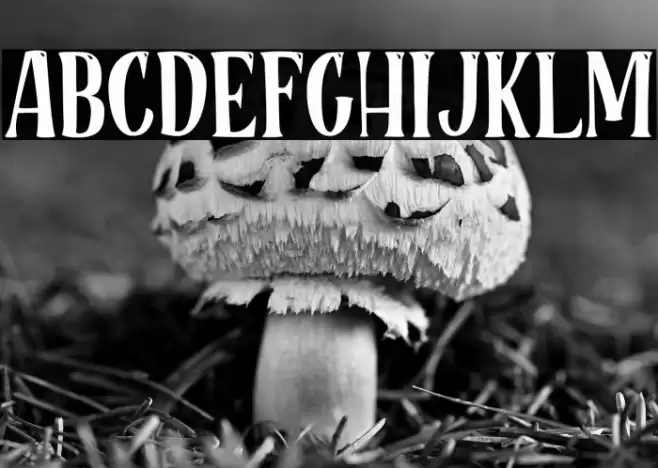 RoseCakePersonalUse Font examples