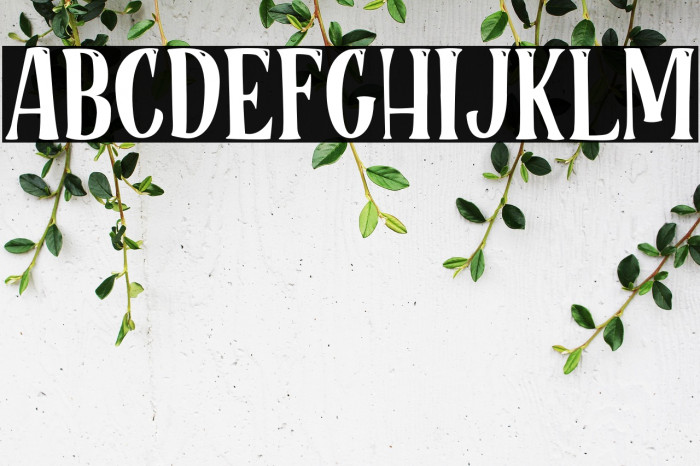 RoseCakePersonalUse Example 3