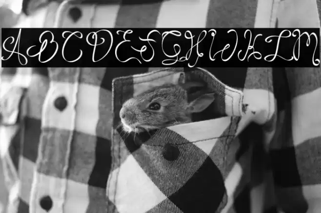 RoseHellisaDemo Font examples