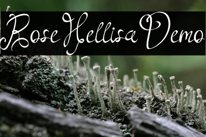 RoseHellisaDemo Example 3