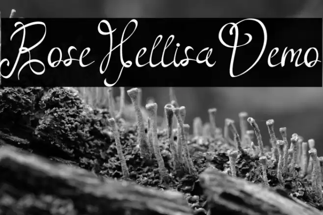 RoseHellisaDemo Font examples