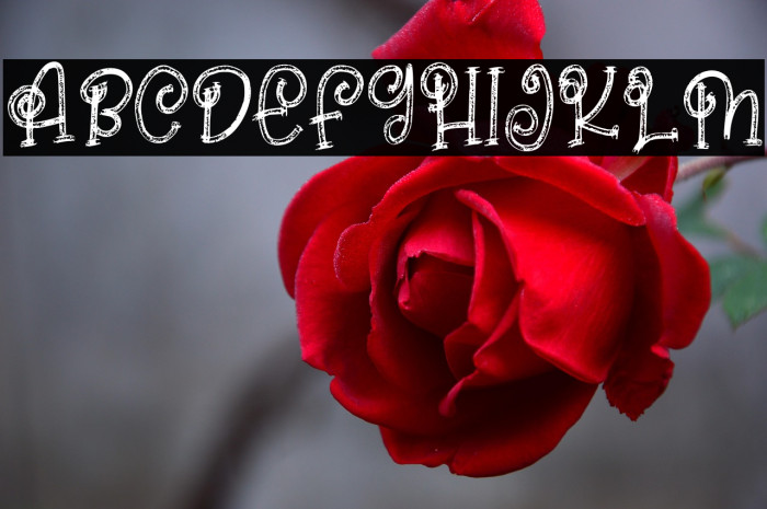 RoseHipsFREE Example 2