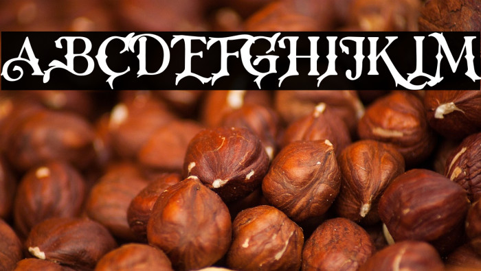 RoseKnight-Regular Example 2