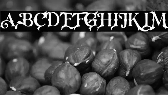 RoseKnight-Regular Font examples