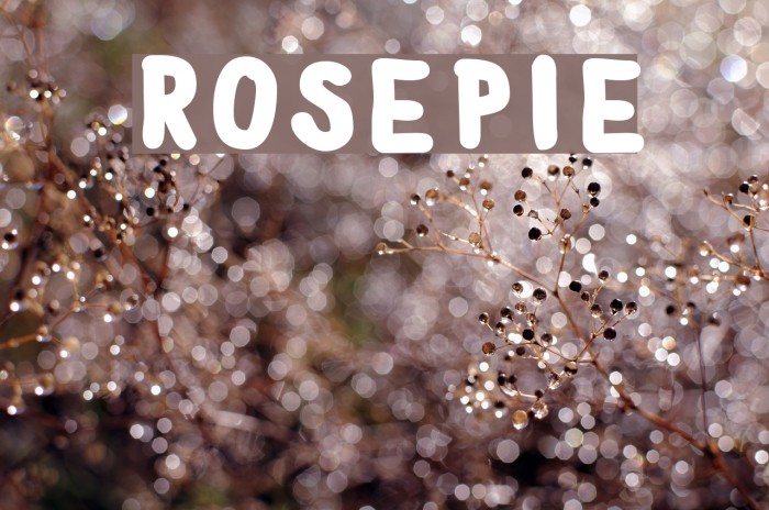 RosePie Font examples
