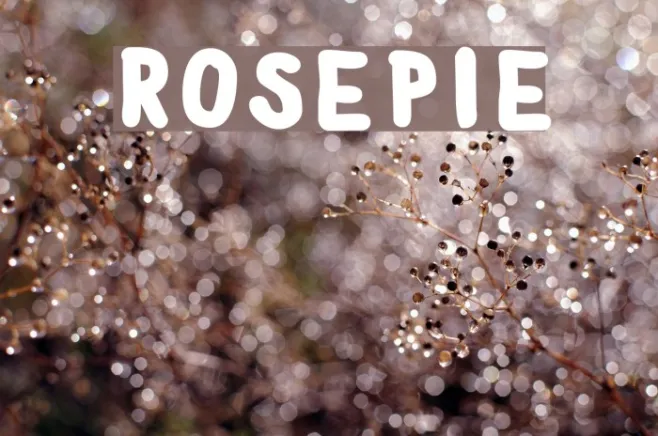 RosePie Example 1