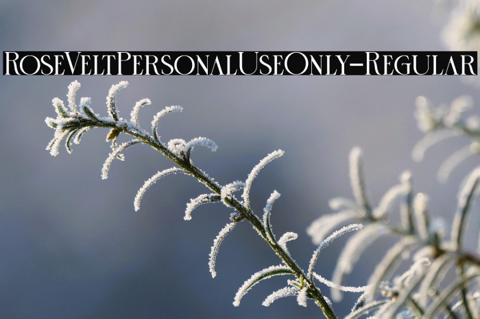 RoseVeltPersonalUseOnly-Regular Example 1