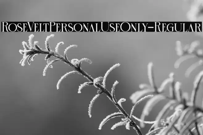 RoseVeltPersonalUseOnly-Regular Font examples