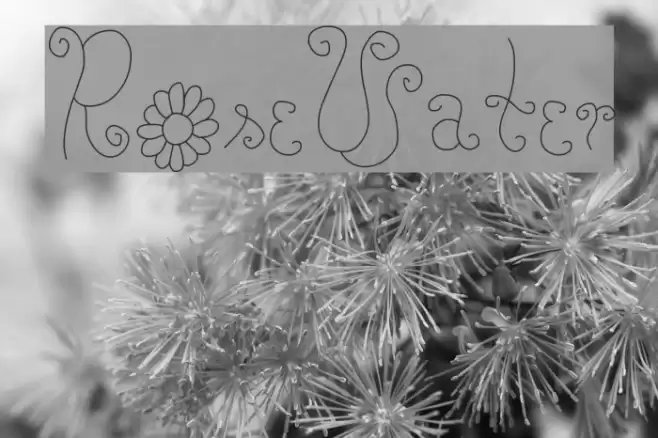 RoseWater Font examples