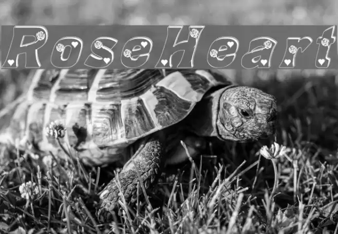 Rose_Heart Font examples
