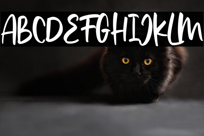 Rosebella-Regular FREE PERSONAL USE Example 3