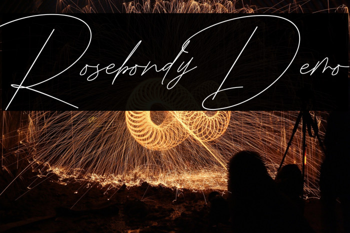 Rosebondy Demo Example 1