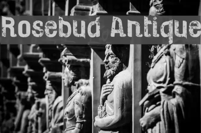 Rosebud Antique Fonte examples