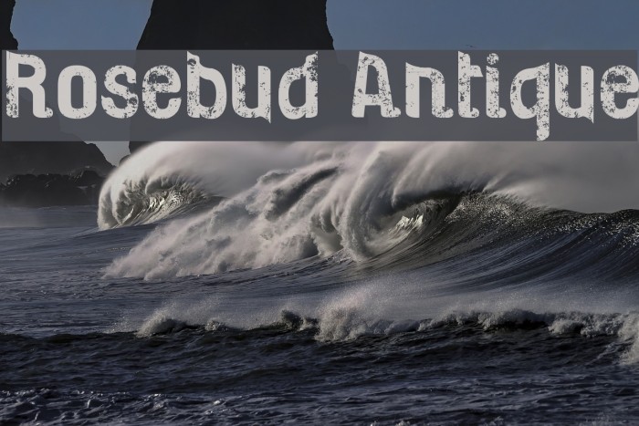 Rosebud Antique Font examples