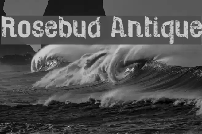 Rosebud Antique Fonte examples