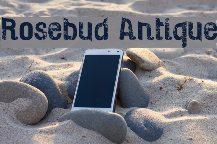 Rosebud Antique Font examples