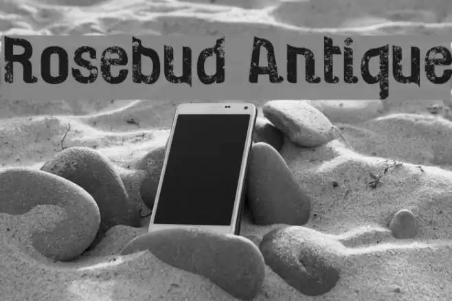Rosebud Antique Fonte examples