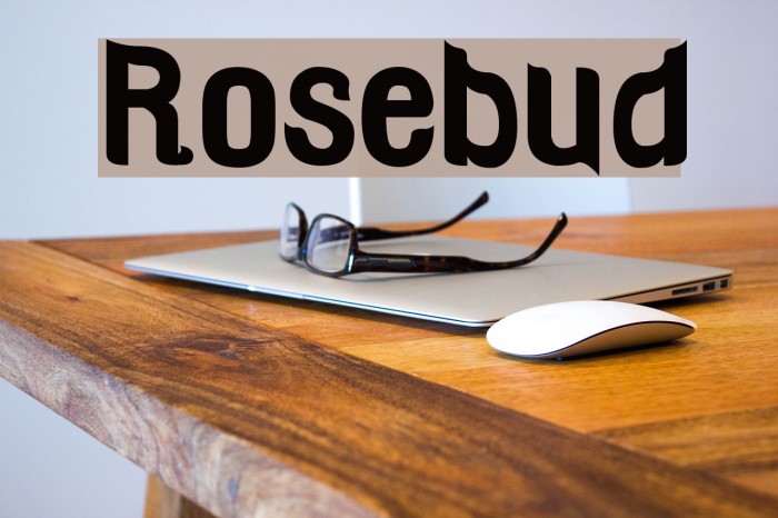 Rosebud Example 1