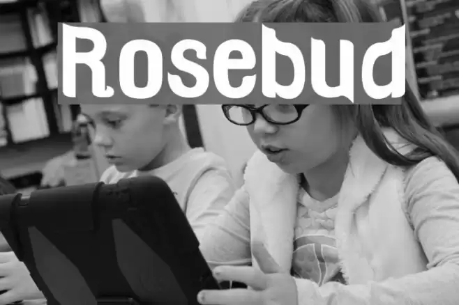 Rosebud Font examples