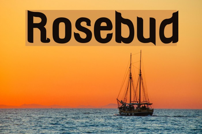 Rosebud Example 3