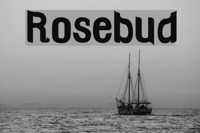 Rosebud Font examples