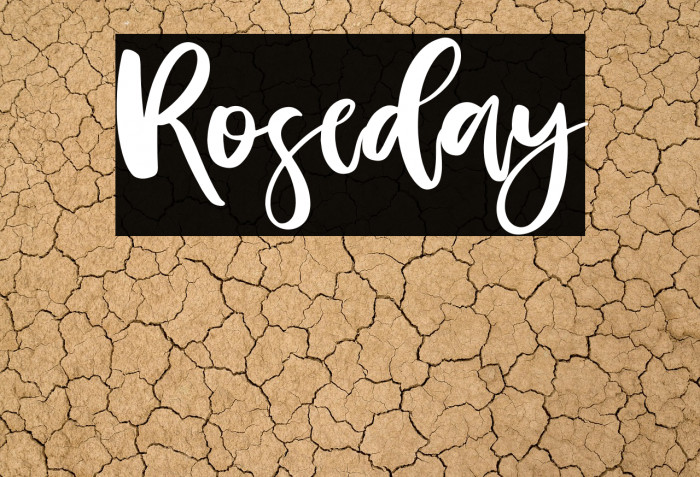 Roseday Example 1
