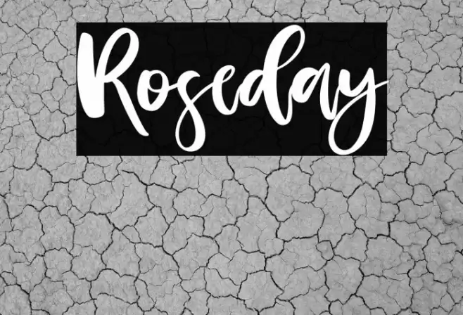 Roseday Font examples