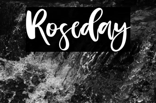 Roseday Font examples